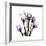 Imagine Tulips-Albert Koetsier-Framed Premium Giclee Print