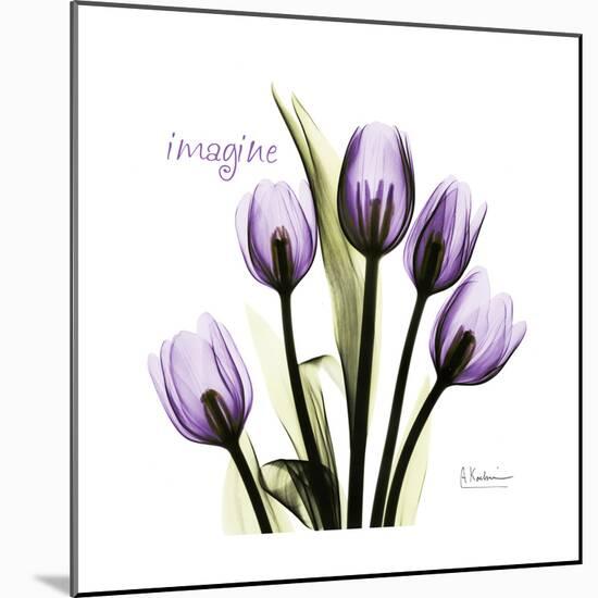 Imagine Tulips-Albert Koetsier-Mounted Premium Giclee Print
