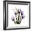 Imagine Tulips-Albert Koetsier-Framed Premium Giclee Print