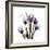 Imagine Tulips-Albert Koetsier-Framed Premium Giclee Print