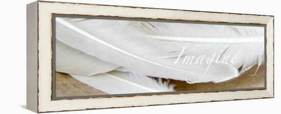 Imagine: White Feathers-Nicole Katano-Framed Stretched Canvas