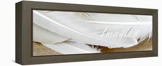 Imagine: White Feathers-Nicole Katano-Framed Stretched Canvas