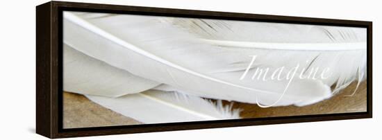 Imagine: White Feathers-Nicole Katano-Framed Stretched Canvas