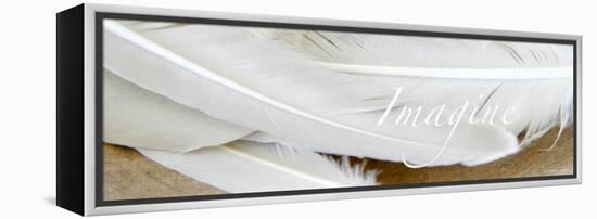 Imagine: White Feathers-Nicole Katano-Framed Stretched Canvas