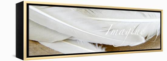 Imagine: White Feathers-Nicole Katano-Framed Stretched Canvas