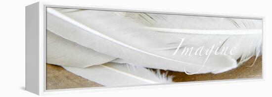 Imagine: White Feathers-Nicole Katano-Framed Stretched Canvas