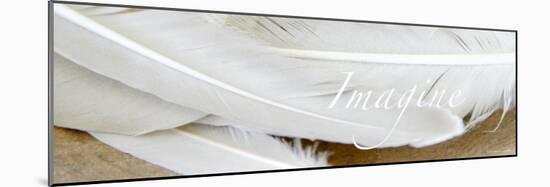 Imagine: White Feathers-Nicole Katano-Mounted Photo