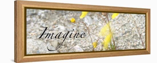 Imagine: Yellow Daisy-Nicole Katano-Framed Stretched Canvas