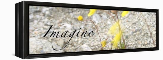 Imagine: Yellow Daisy-Nicole Katano-Framed Stretched Canvas