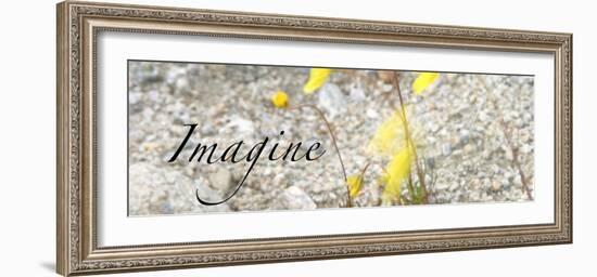 Imagine: Yellow Daisy-Nicole Katano-Framed Photo