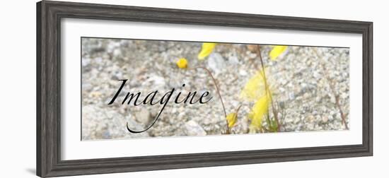 Imagine: Yellow Daisy-Nicole Katano-Framed Photo