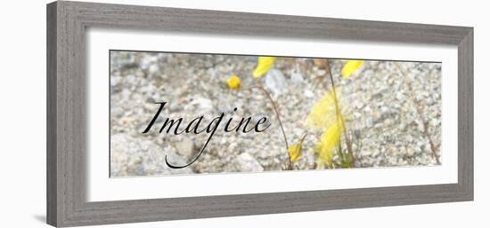 Imagine: Yellow Daisy-Nicole Katano-Framed Photo