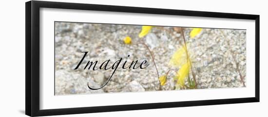 Imagine: Yellow Daisy-Nicole Katano-Framed Photo