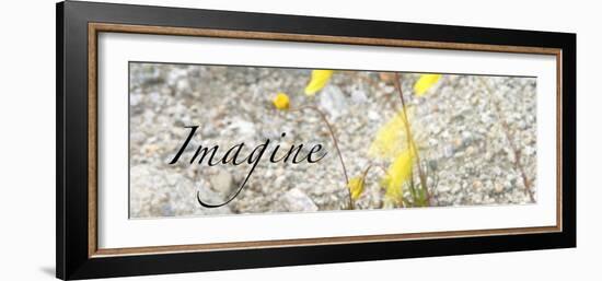 Imagine: Yellow Daisy-Nicole Katano-Framed Photo