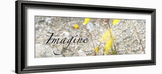 Imagine: Yellow Daisy-Nicole Katano-Framed Photo