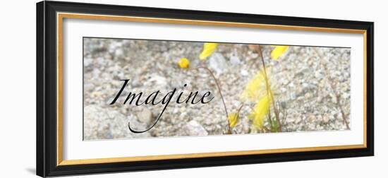 Imagine: Yellow Daisy-Nicole Katano-Framed Photo