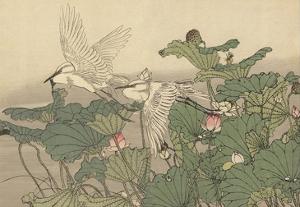 Egrets and Lotus by Imao Keinen