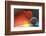 Imbalance-Heidi Westum-Framed Photographic Print