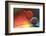 Imbalance-Heidi Westum-Framed Photographic Print