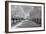 IMG_0007 - Row of Trees-Monte Nagler-Framed Photographic Print
