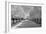 IMG_0007 - Row of Trees-Monte Nagler-Framed Photographic Print