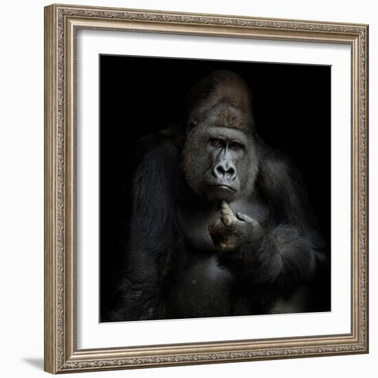 Imho...-Antje Wenner-Braun-Framed Photographic Print