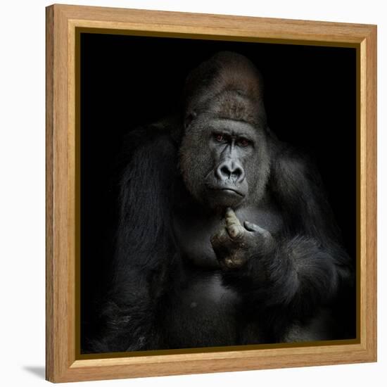 Imho...-Antje Wenner-Braun-Framed Premier Image Canvas