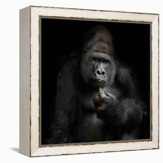 Imho...-Antje Wenner-Braun-Framed Premier Image Canvas