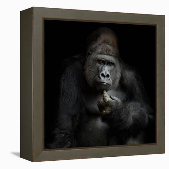 Imho...-Antje Wenner-Braun-Framed Premier Image Canvas