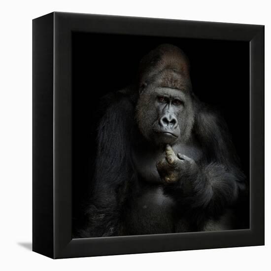 Imho...-Antje Wenner-Braun-Framed Premier Image Canvas