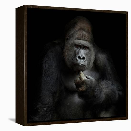 Imho...-Antje Wenner-Braun-Framed Premier Image Canvas