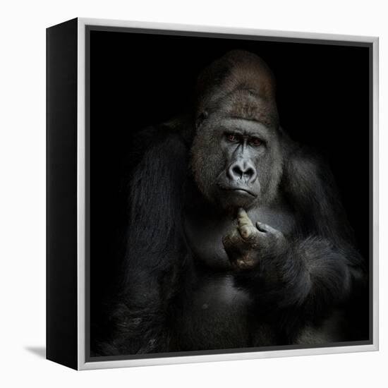 Imho...-Antje Wenner-Braun-Framed Premier Image Canvas