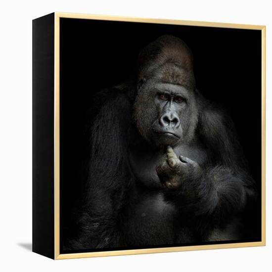 Imho...-Antje Wenner-Braun-Framed Premier Image Canvas