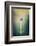 Imidness-Philippe Sainte-Laudy-Framed Photographic Print