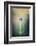 Imidness-Philippe Sainte-Laudy-Framed Photographic Print