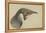 Immature Emperor Penguin, McMurdo Strait, 6 Feb, 1904-Edward Adrian Wilson-Framed Premier Image Canvas