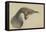 Immature Emperor Penguin, McMurdo Strait, 6 Feb, 1904-Edward Adrian Wilson-Framed Premier Image Canvas