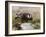 Immature Peregrine Falcon, Captive, United Kingdom, Europe-Toon Ann & Steve-Framed Photographic Print