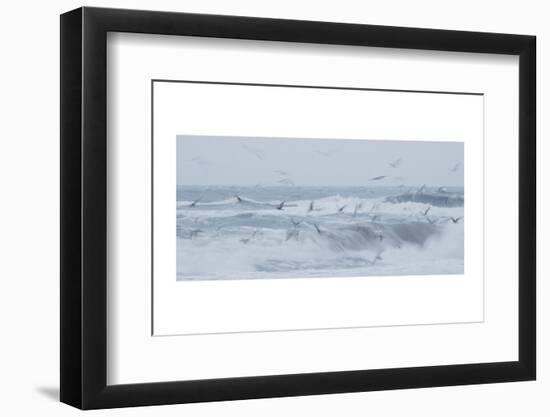 Immersed in the Salty Breeze-Jacob Berghoef-Framed Photographic Print