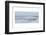 Immersed in the Salty Breeze-Jacob Berghoef-Framed Photographic Print