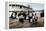 Immigrants to the USA landing at Ellis Island, New York, c1900-Unknown-Framed Premier Image Canvas