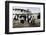 Immigrants to the USA landing at Ellis Island, New York, c1900-Unknown-Framed Photographic Print