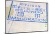 Immigration Stamp-Yury Zap-Mounted Photographic Print