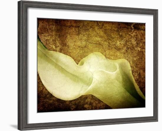 Immortal Passion-Doug Chinnery-Framed Photographic Print