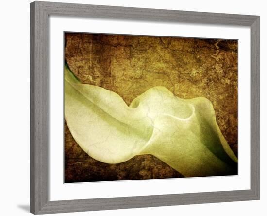 Immortal Passion-Doug Chinnery-Framed Photographic Print