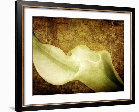 Immortal Passion-Doug Chinnery-Framed Photographic Print