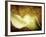 Immortal Passion-Doug Chinnery-Framed Photographic Print