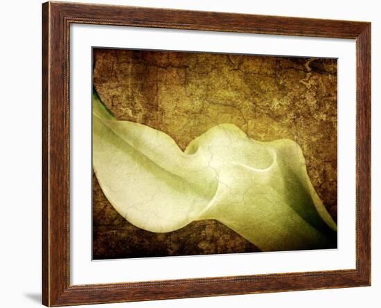 Immortal Passion-Doug Chinnery-Framed Photographic Print