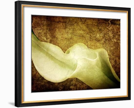Immortal Passion-Doug Chinnery-Framed Photographic Print