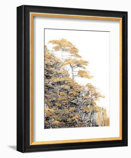 Immortal Pine-Shelley Lake-Framed Photographic Print